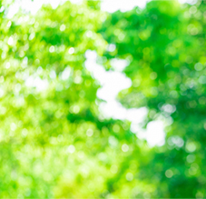 クリティカルファクター